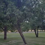 Groot Noordhof